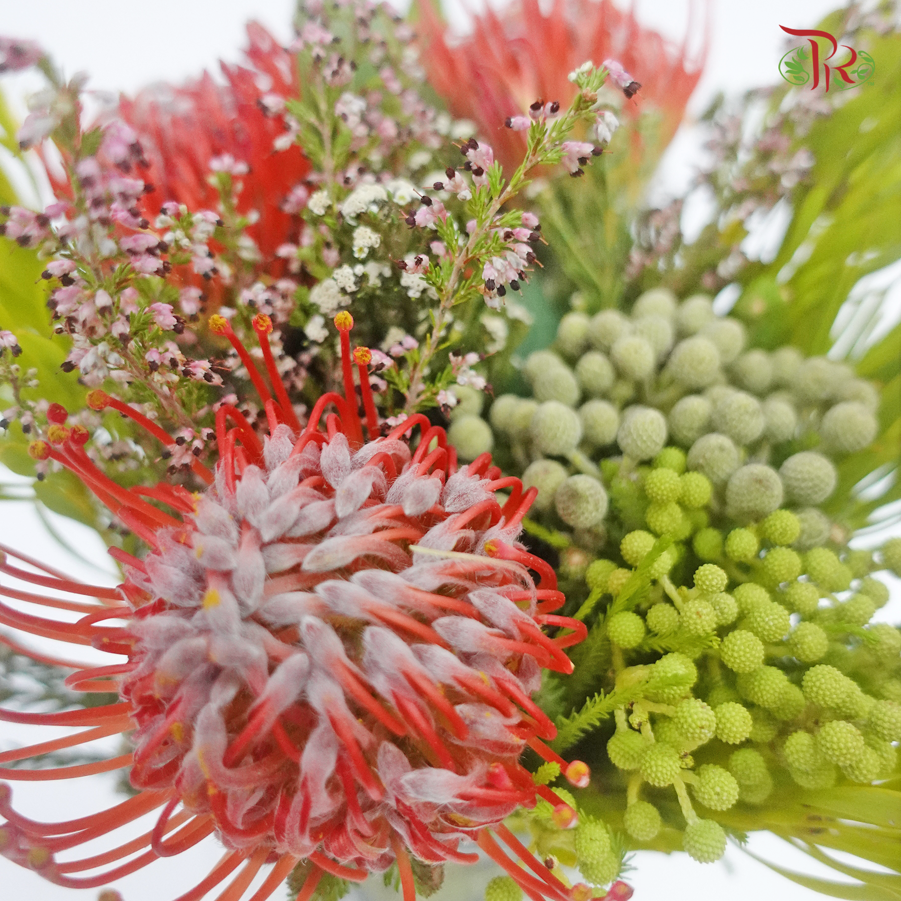 Safari Premium Bouquet - 10 (Per Bunch) - Pudu Ria Florist