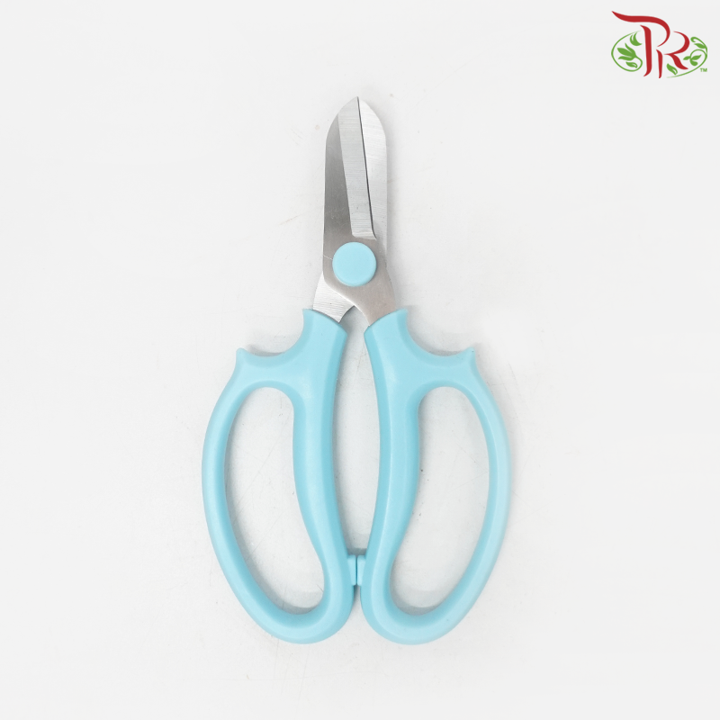 Scissors Stainless Steel (165MM) (With Color Options)-Blue-Pudu Ria Florist-prflorist.com.my