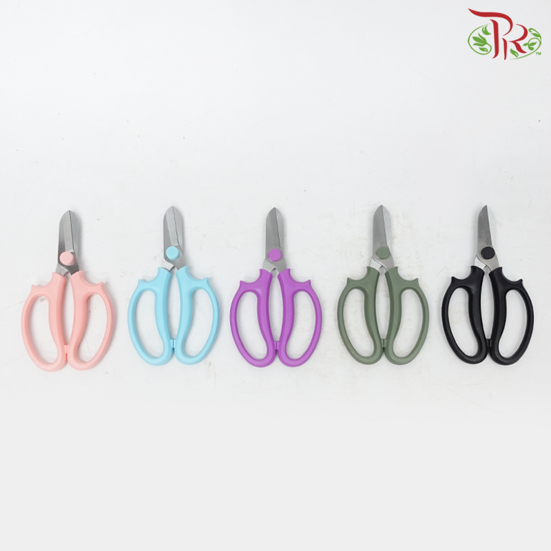 Scissors Stainless Steel (165MM) (With Color Options)-Pudu Ria Florist-prflorist.com.my