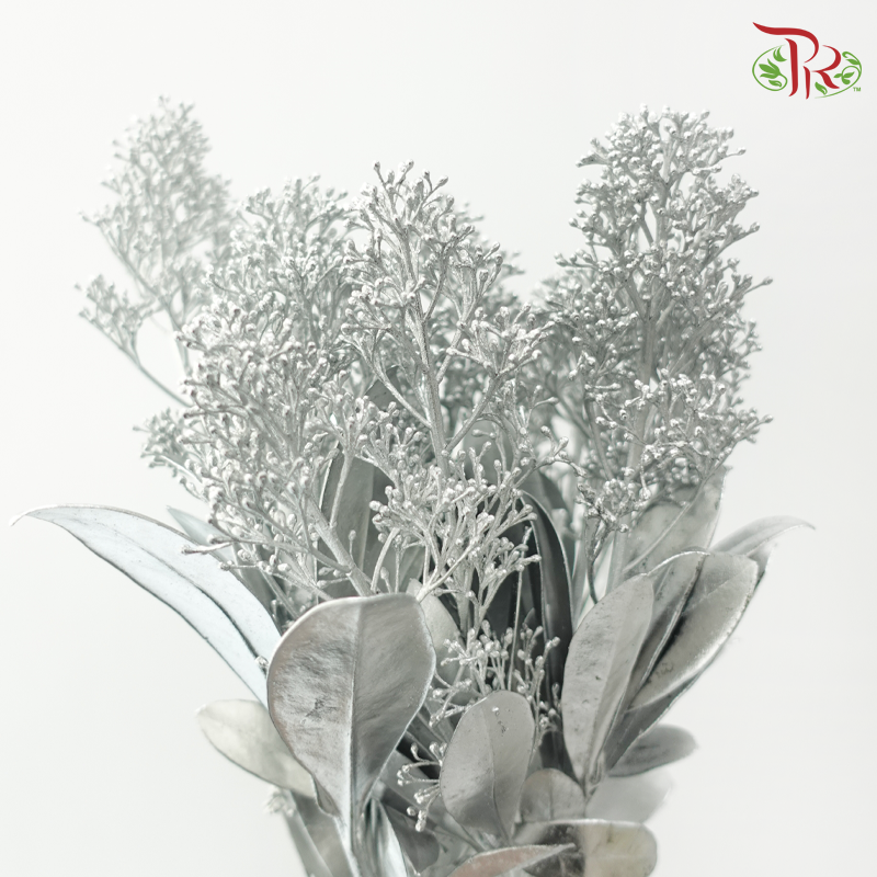Skimmia - Silver (Per Bunch)-Silver-Netherland-prflorist.com.my