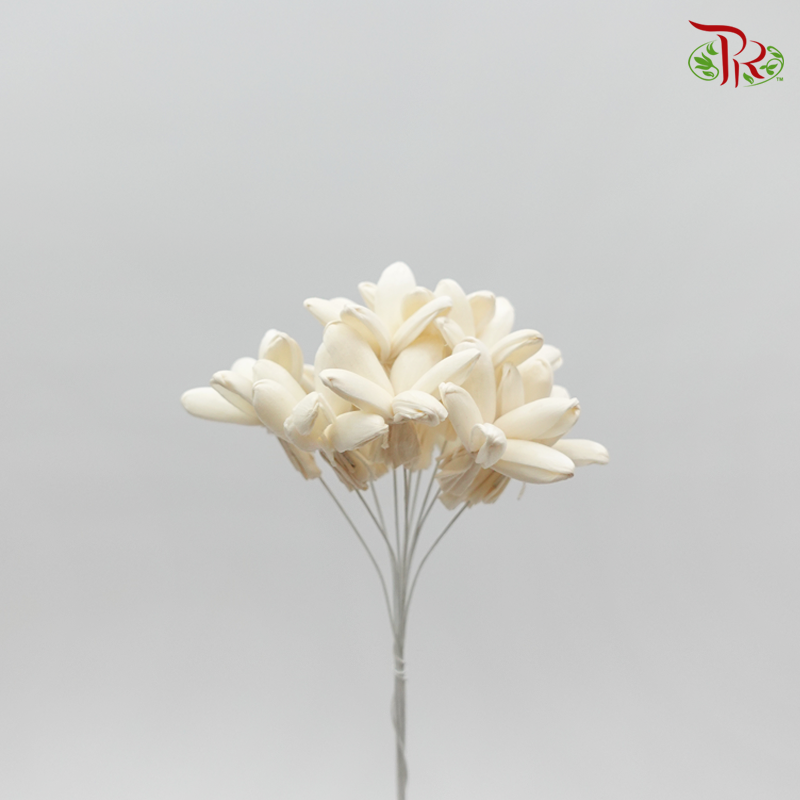 Sola Jasmine Preservative - White ( 3281-0-010 )-White-Japan-prflorist.com.my