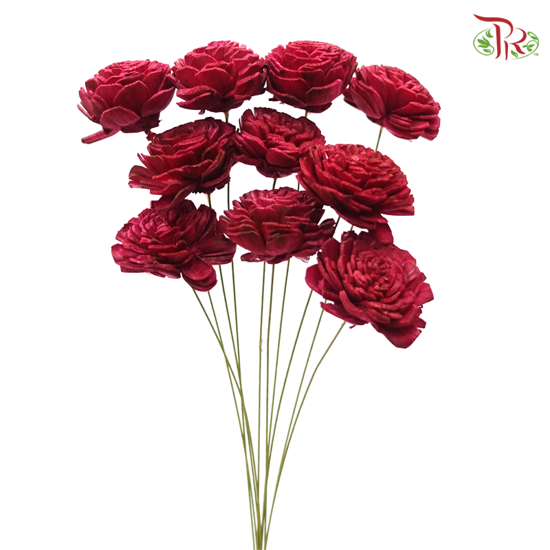 Sola Rose Small Preservative ( 10pcs ) ( 3208-1-470 )-Red-Japan-prflorist.com.my