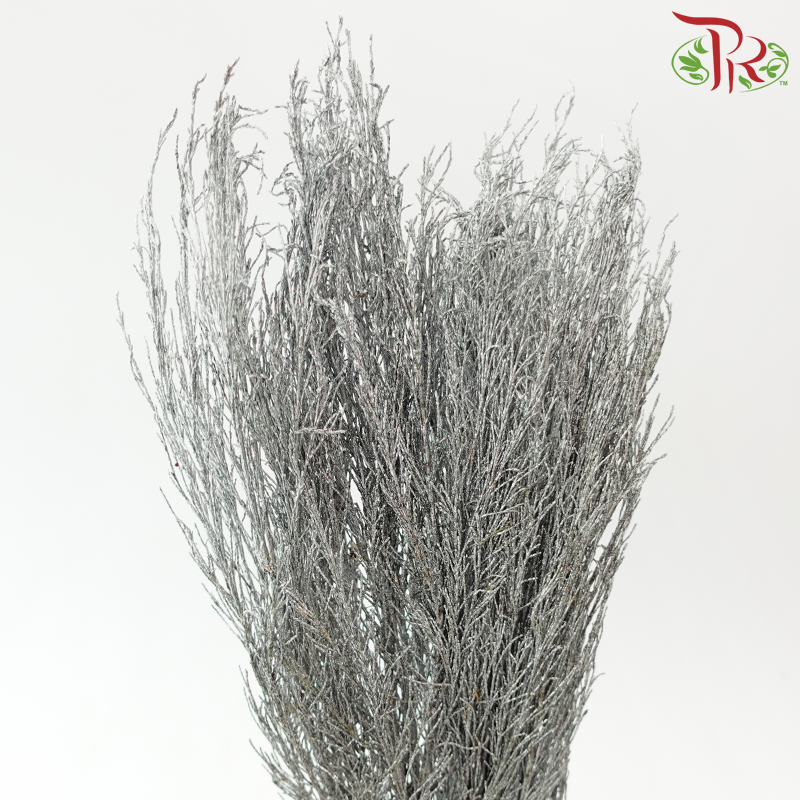 Stoebe - Dyed Silver (Per Bunch)-Silver-Africa-prflorist.com.my