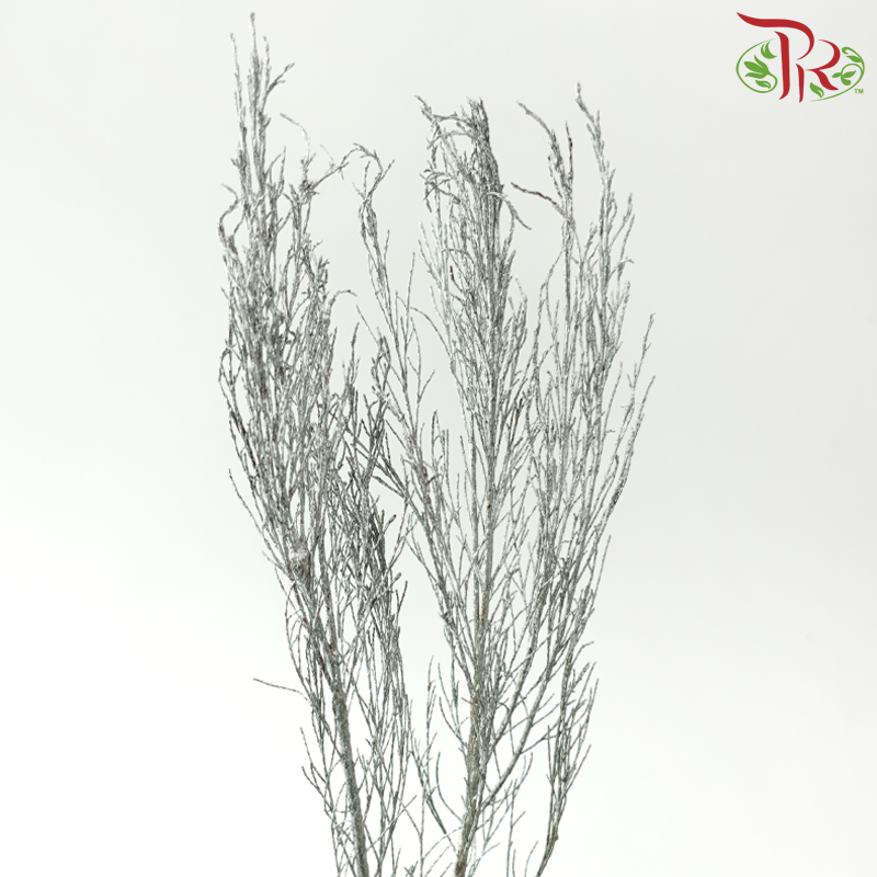 Stoebe - Dyed Silver (Per Bunch)-Silver-Africa-prflorist.com.my