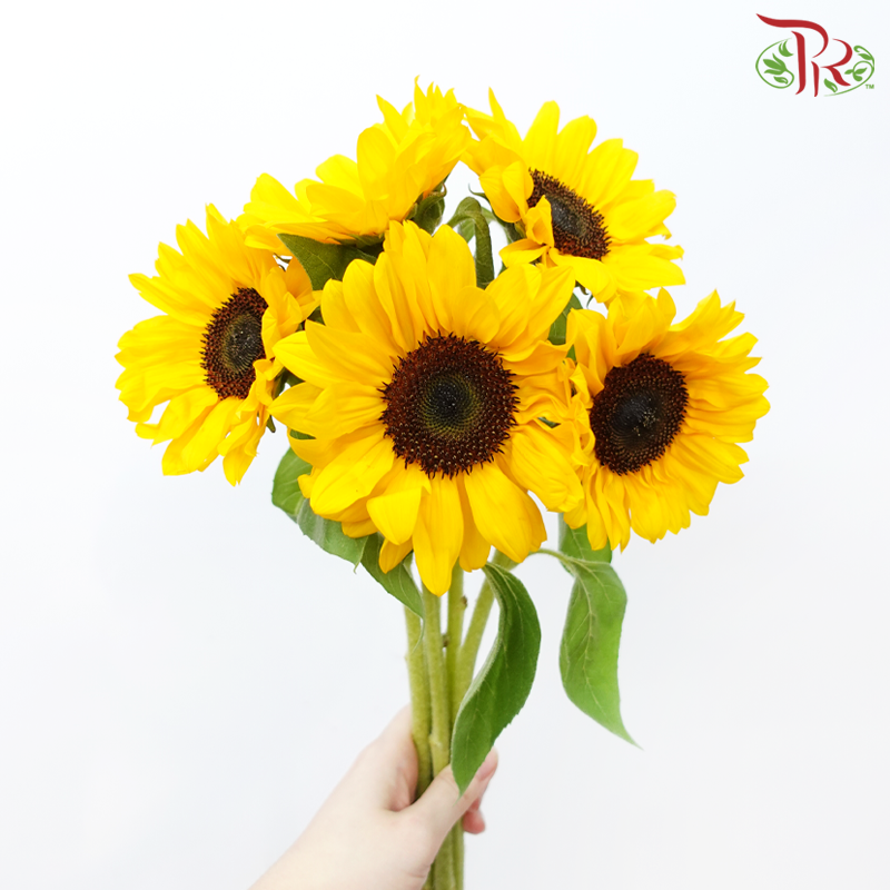 Sunflower (2 Stems)-Japan-prflorist.com.my