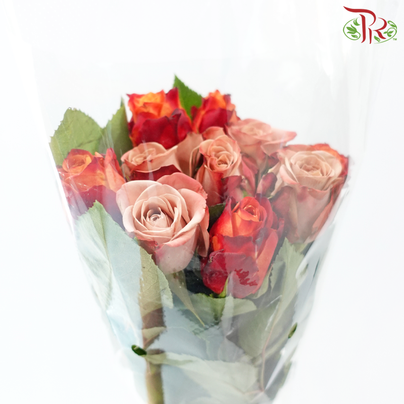 The Courage of Love - (Mixed - Kenya Cappuccino & Fire) (10 Stems Per Bundle)-Kenya-prflorist.com.my