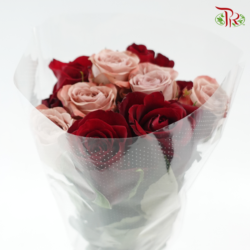 The Vintage Of Passion - (Mixed - Kenya Cappuccino & Ever Red) - (10 Stems Per Bundle)-Kenya-prflorist.com.my