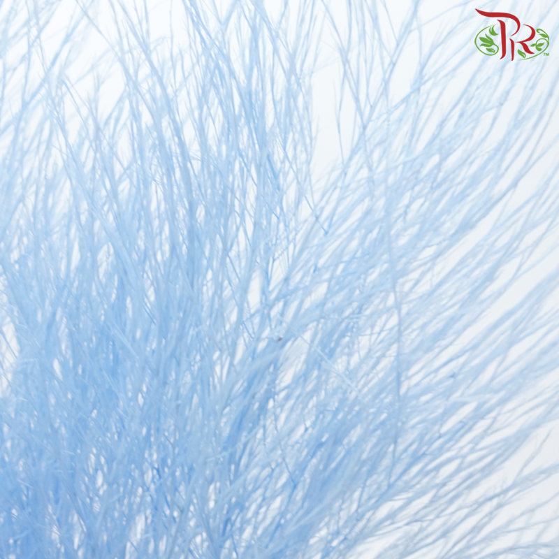 Tiki Fern Preservative - Blue (Per Bunch)-Blue-China-prflorist.com.my