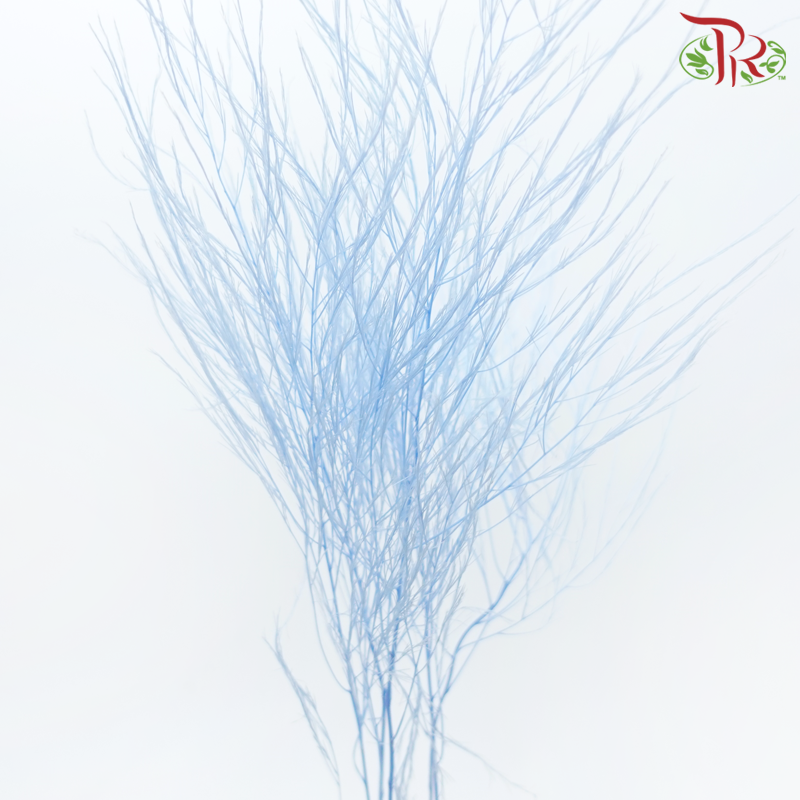 Tiki Fern Preservative - Blue (Per Bunch)-Blue-China-prflorist.com.my