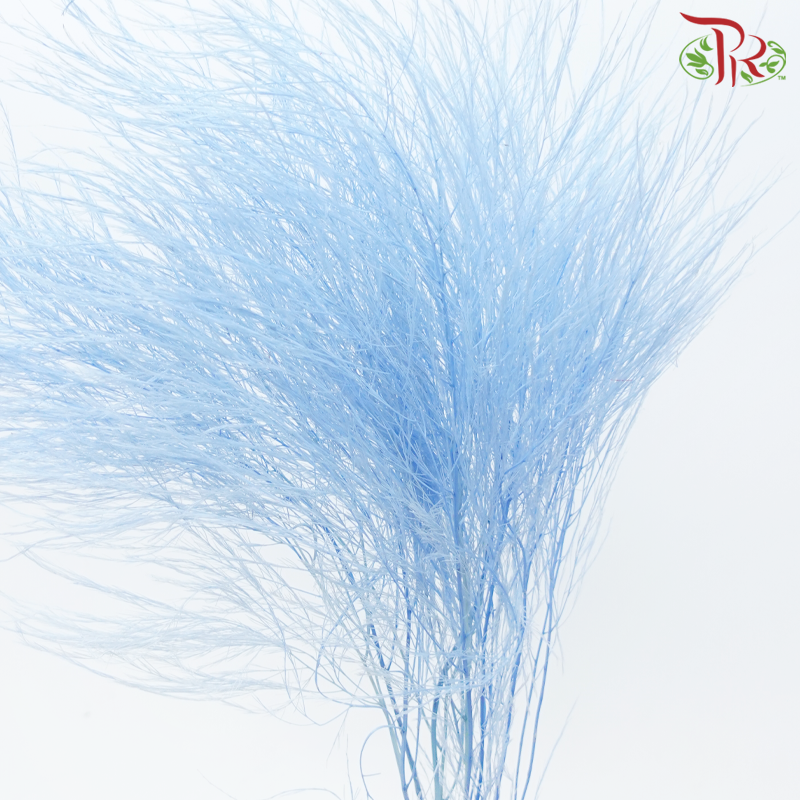 Tiki Fern Preservative - Blue (Per Bunch)-Blue-China-prflorist.com.my