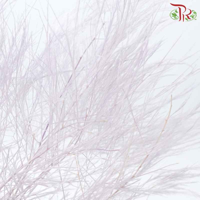 Tiki Fern Preservative - Purple (Per Bunch)-Purple-China-prflorist.com.my