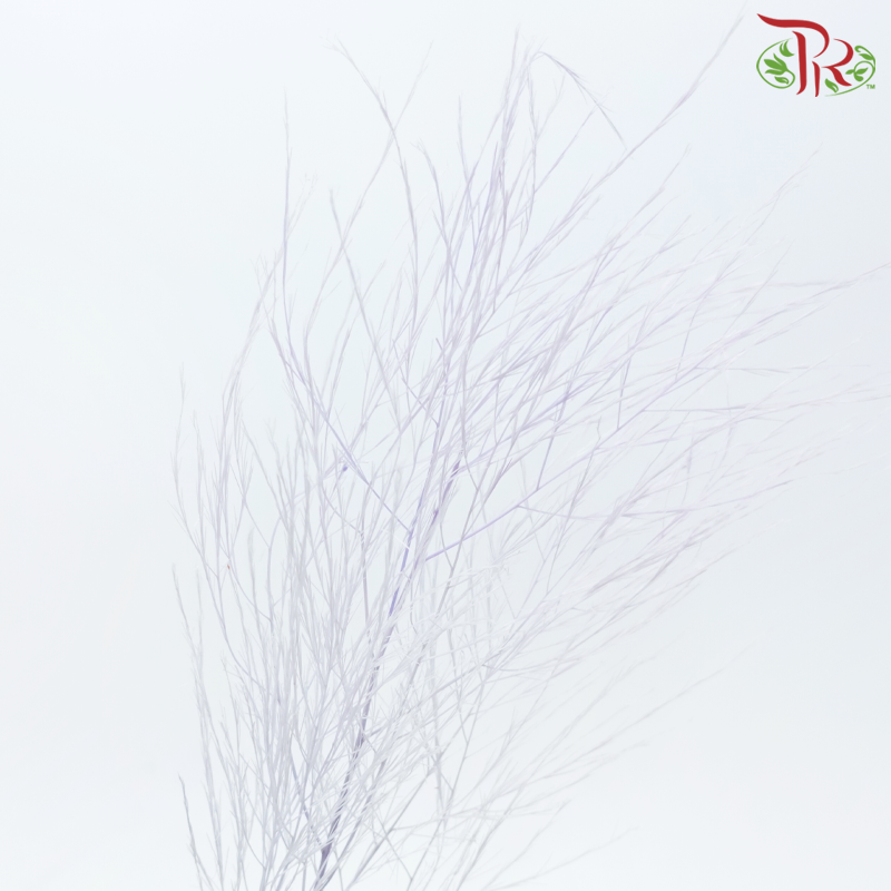 Tiki Fern Preservative - Purple (Per Bunch)-Purple-China-prflorist.com.my