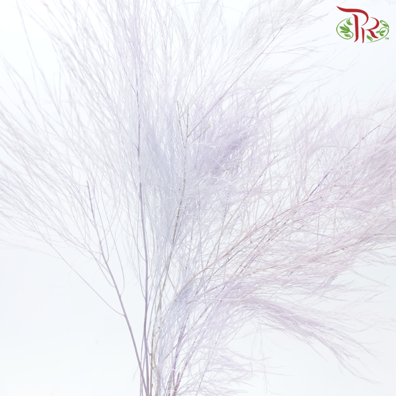 Tiki Fern Preservative - Purple (Per Bunch)-Purple-China-prflorist.com.my