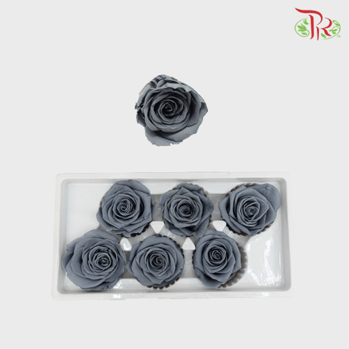 6 Bloom Rose - Grey - Pudu Ria Florist