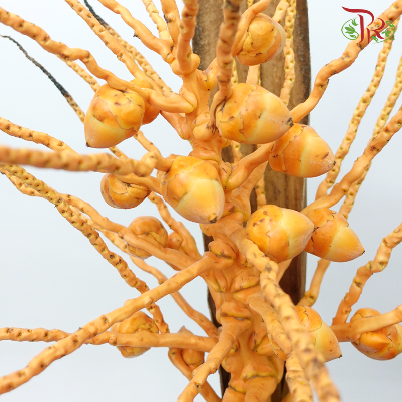 Tropical Branch (Per Stem)-Malaysia-prflorist.com.my