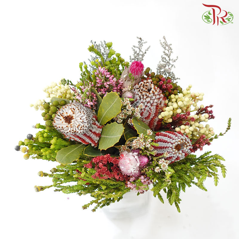 Safari Premium Coccinea 3 Flower - Pudu Ria Florist