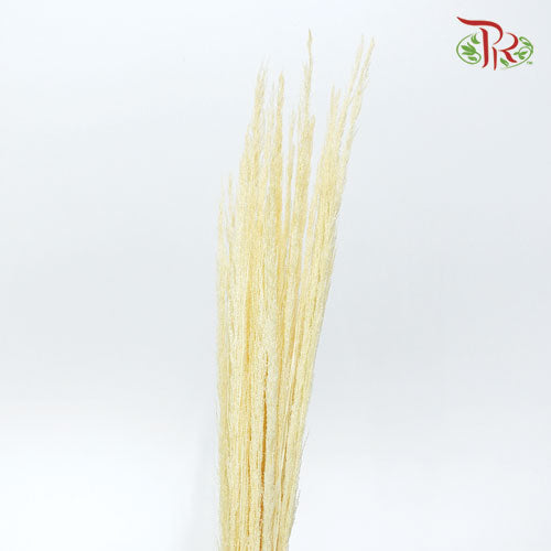 Pachysandra Axillaris Bleached - (Per Bunch) - Pudu Ria Florist