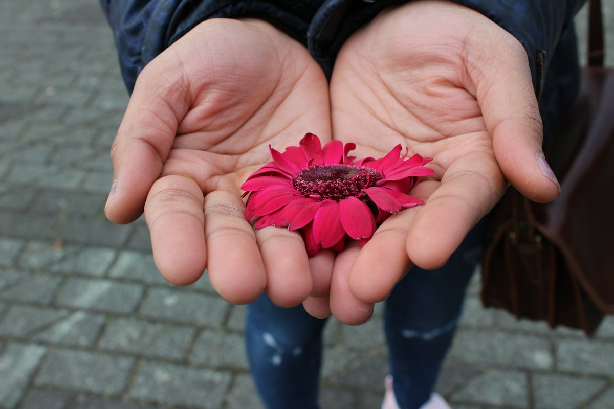 Hands holding a single red flower petal
