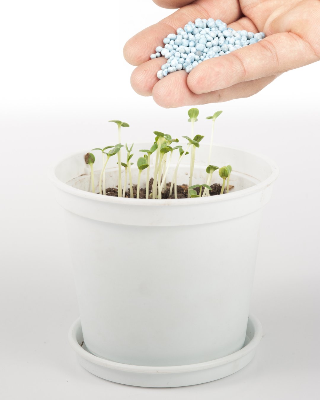 Soil & Fertilizer - Pudu Ria Florist
