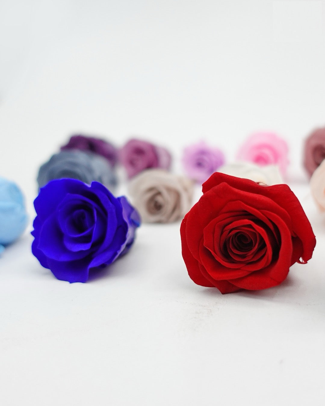 Preserved Flowers