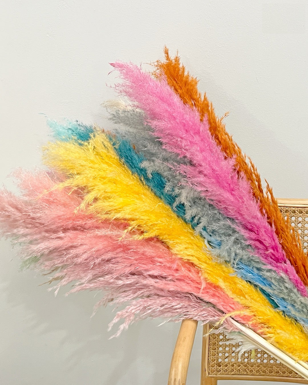 Dried Flowers