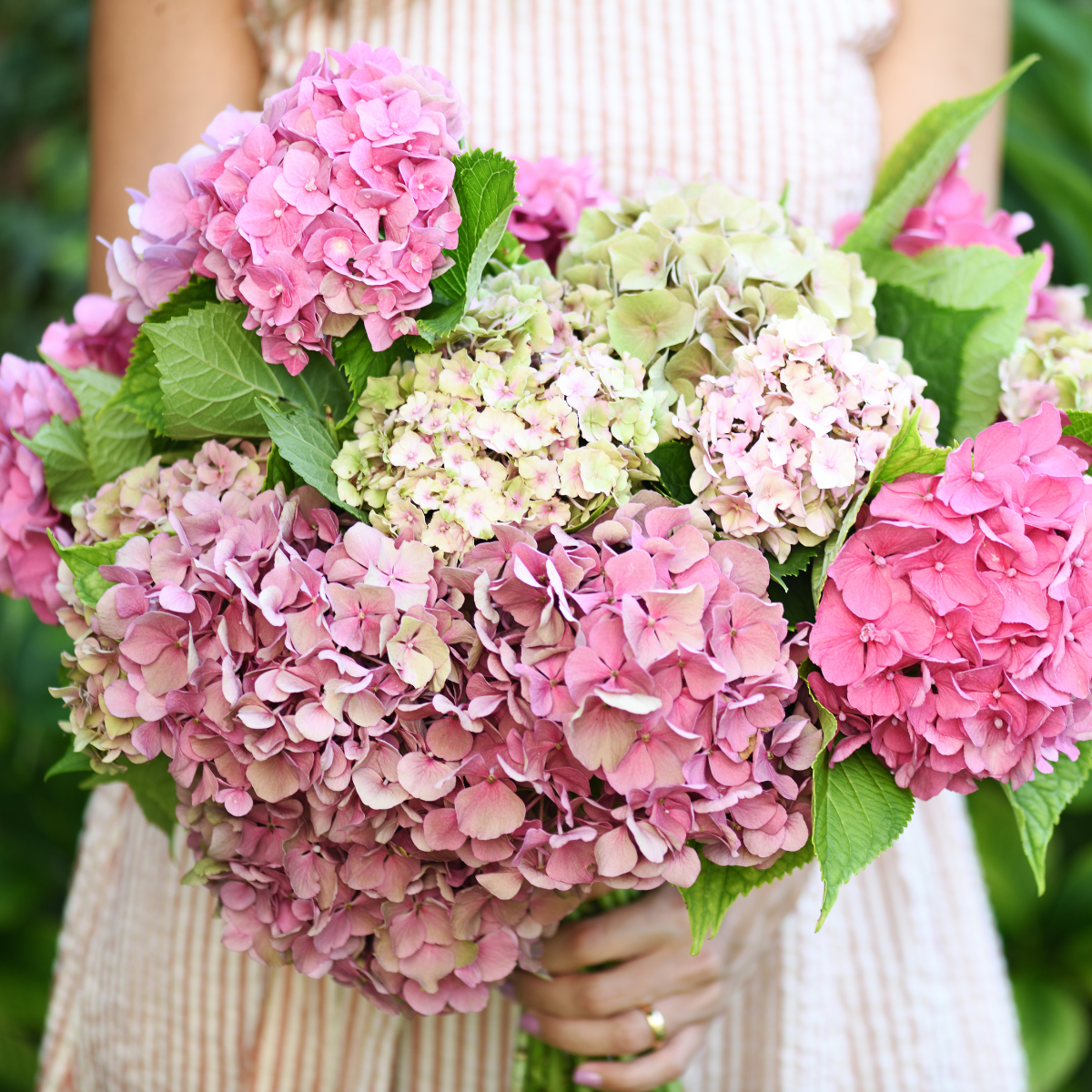 Fertility & Abundance