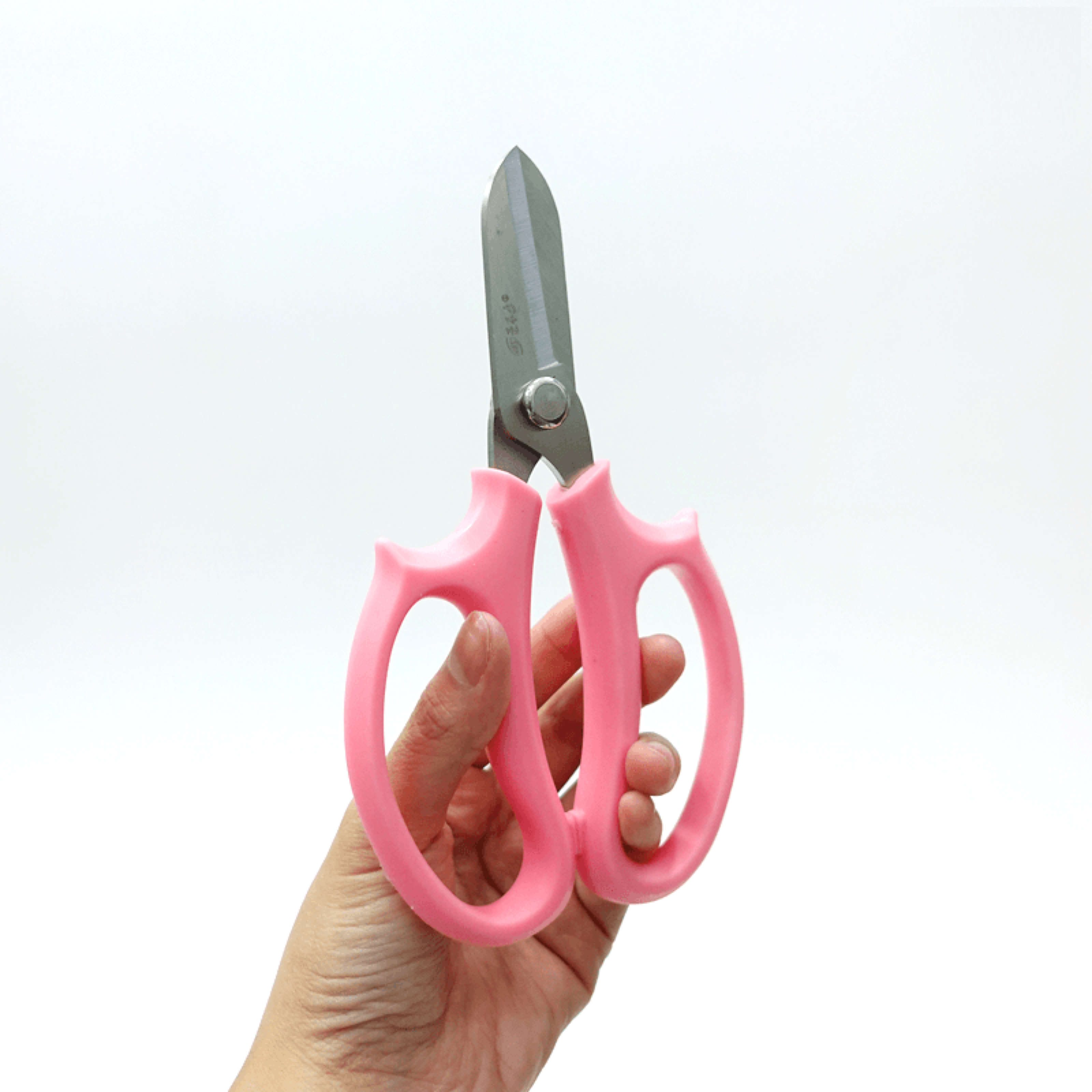 Knives & Scissors