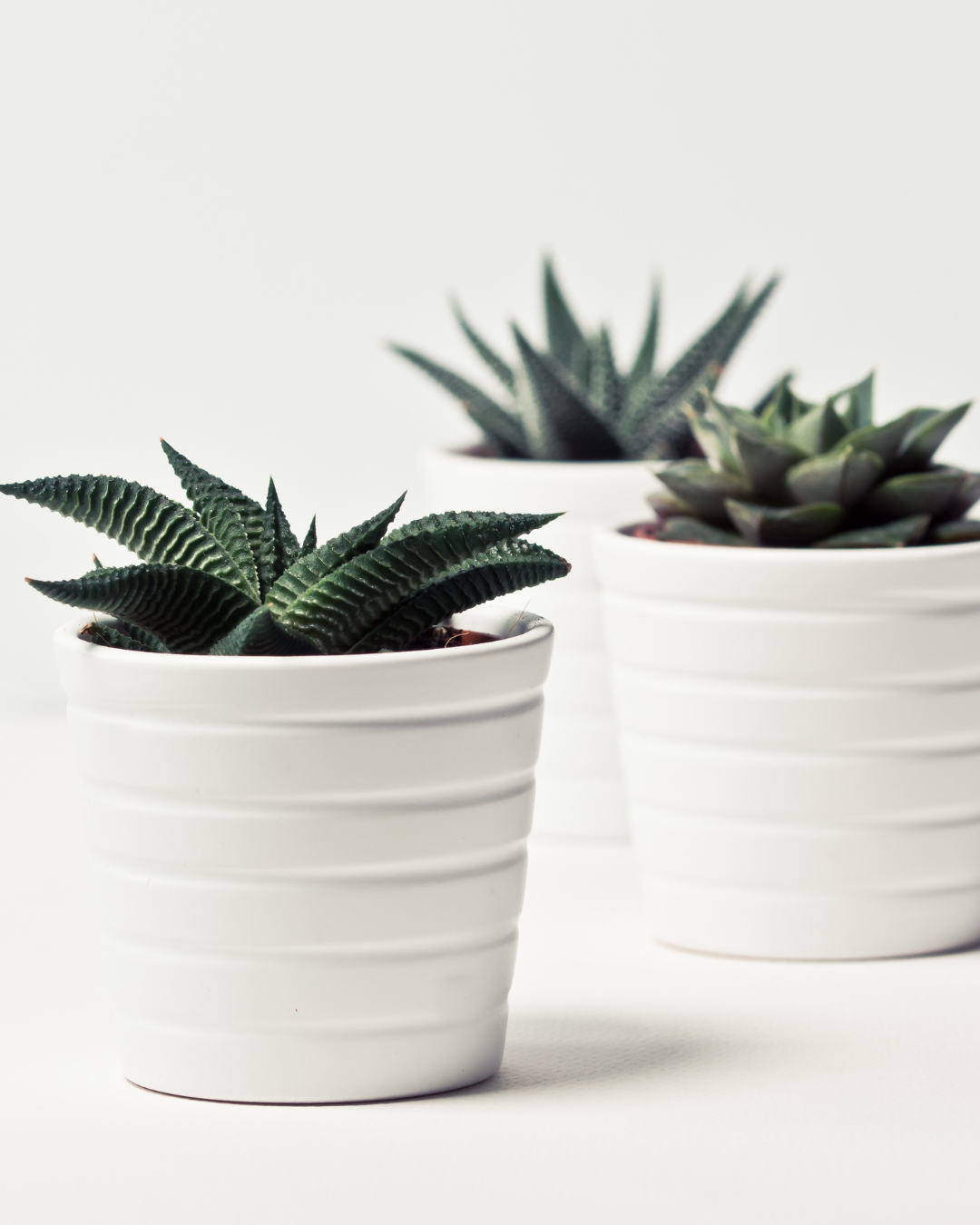 Pots