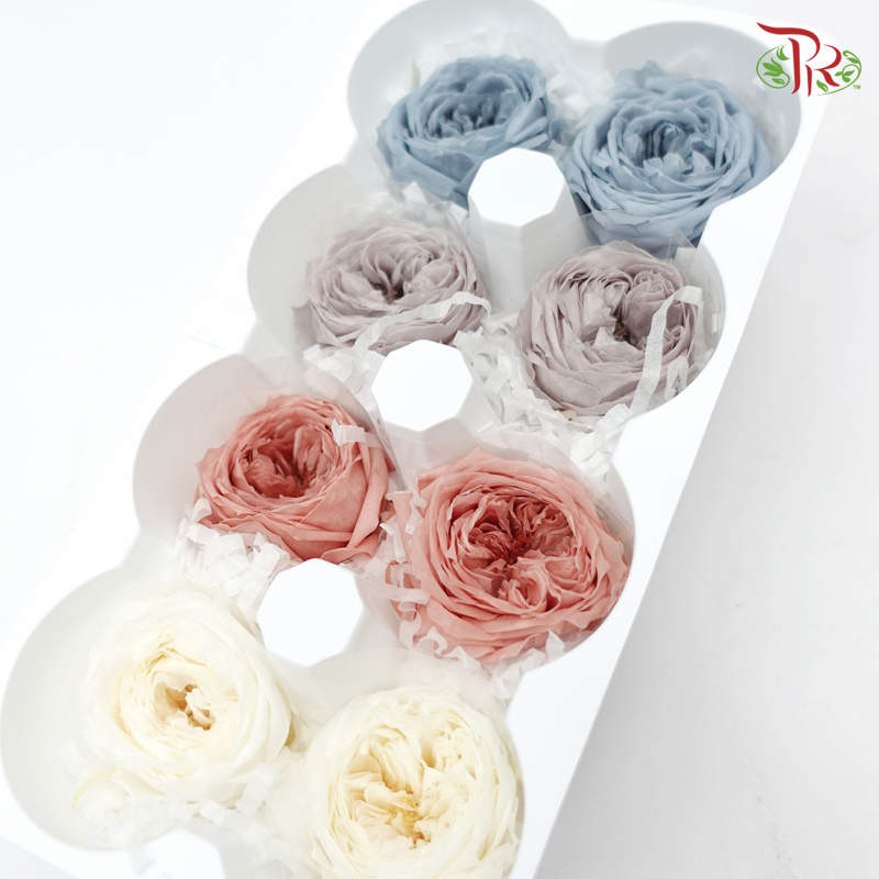 Rose Temari Preservative ( 0246-7-670 ) - Pudu Ria Florist
