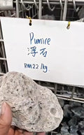 Pumice 浮石 (per Kg)