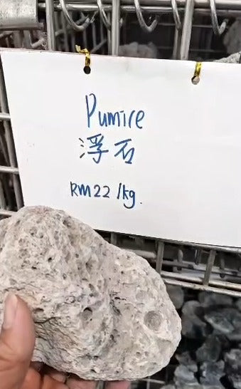Pumice 浮石 (per Kg)