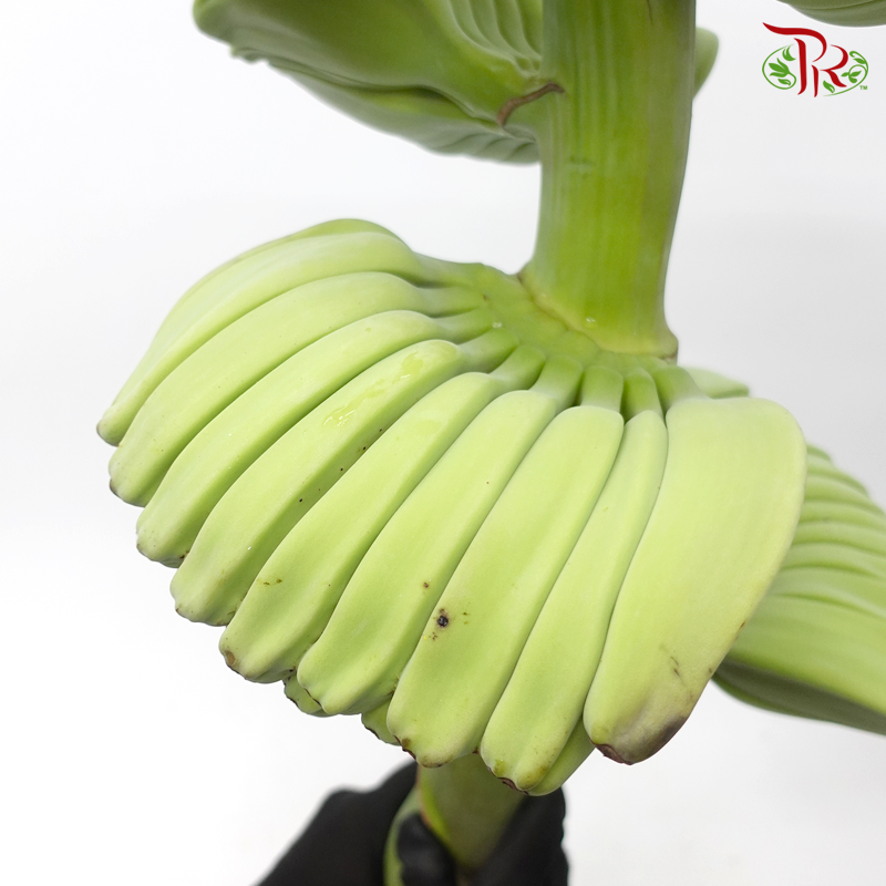 Banana Prayer Hand