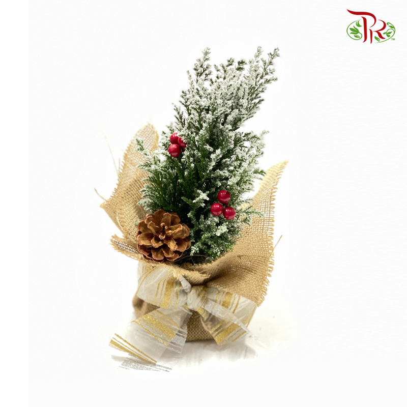 Chamaecyparis Snow White Plant Arrangement *Pine Cone (Customised) - Pudu Ria Florist