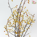 Crab Apple 《海棠》