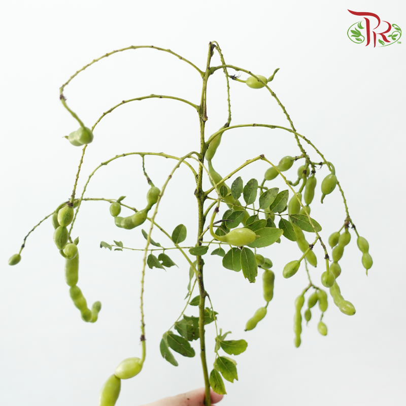Jade Pendant Flower