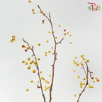 Crab Apple 《海棠》