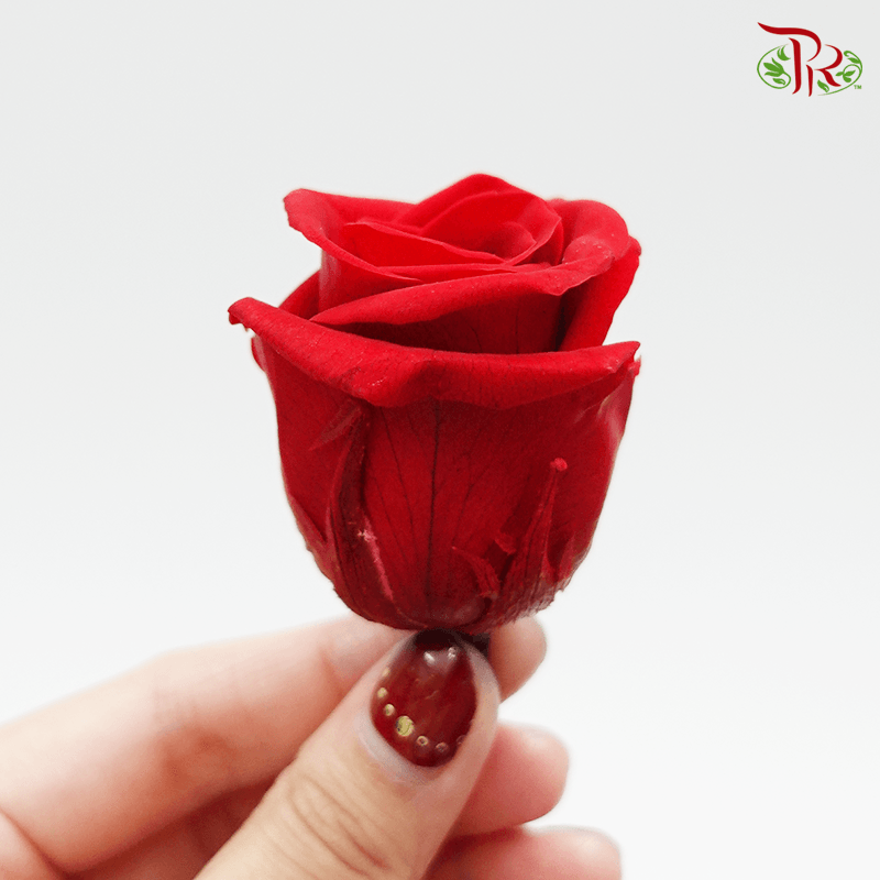 10 Bloom Rose - Red-Red-China-prflorist.com.my