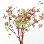 Eucalyptus Robusta with Berry