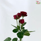 Rose Spray 《多头玫瑰》