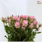 Rose Spray 《多头玫瑰》