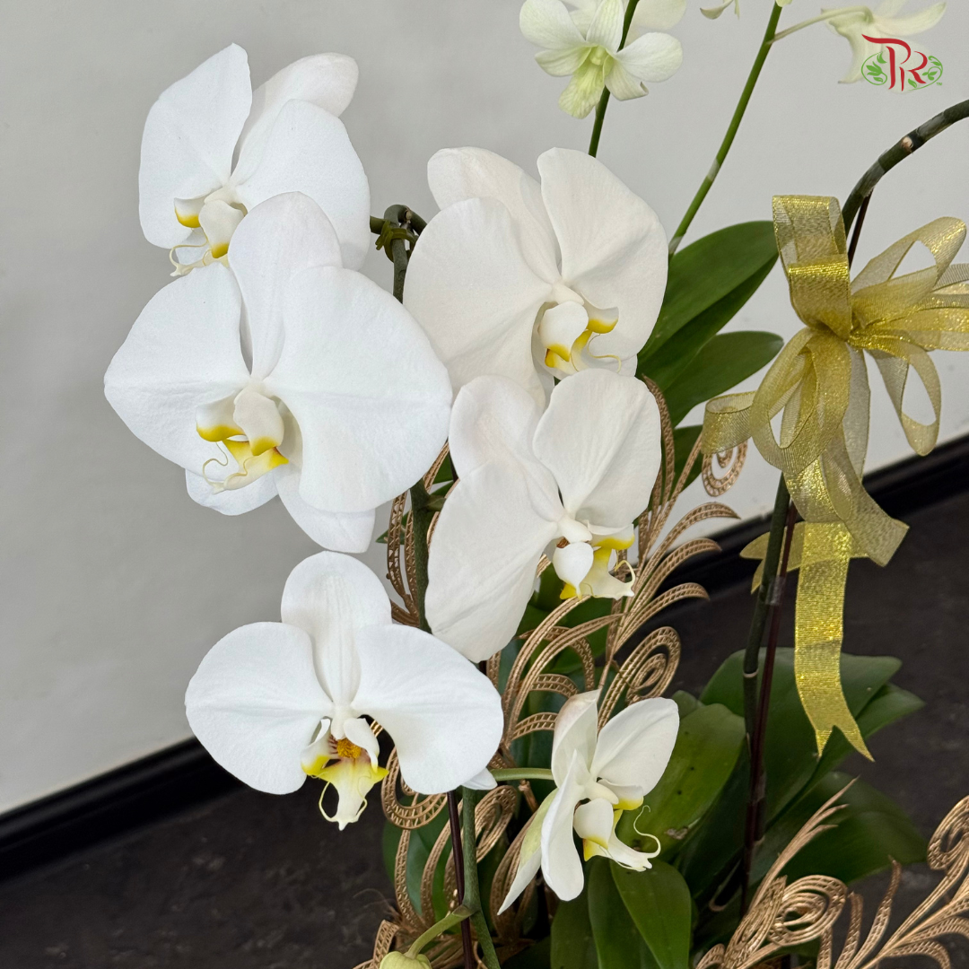 【XMAS 2025】Holiday Bloom 圣诞花语