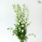 Delphinium Consolida (Larkspur)