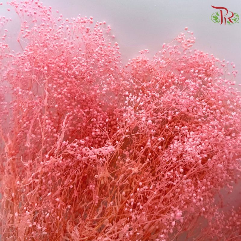 Preserved Million Stars