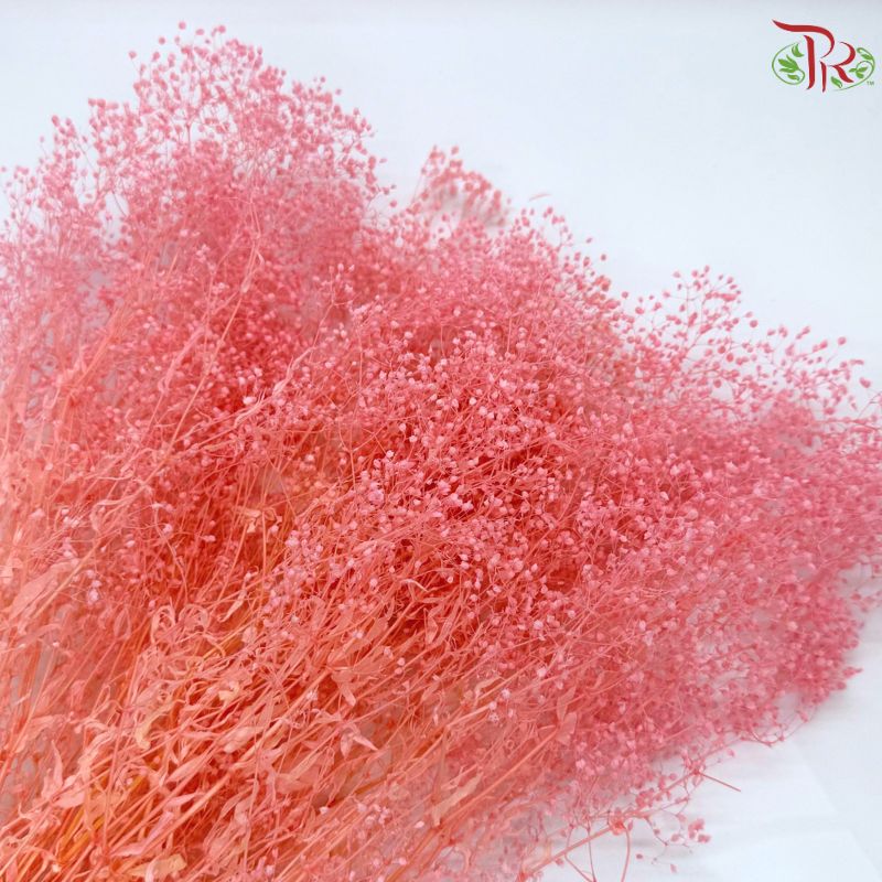 Preserved Million Stars