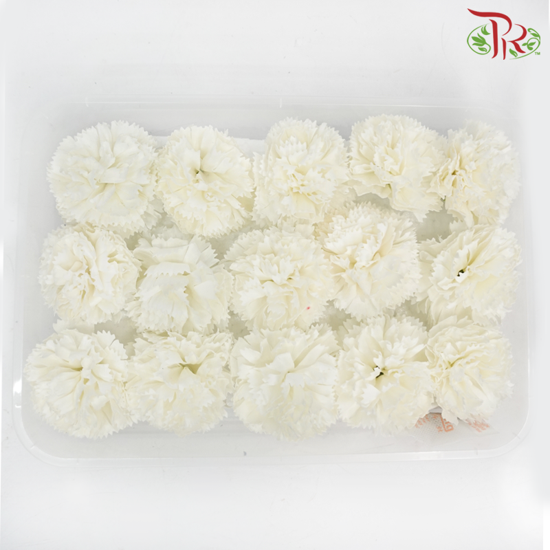 15 Bloom Carnations Soap Flower - White-White-Pudu Ria Florist-prflorist.com.my