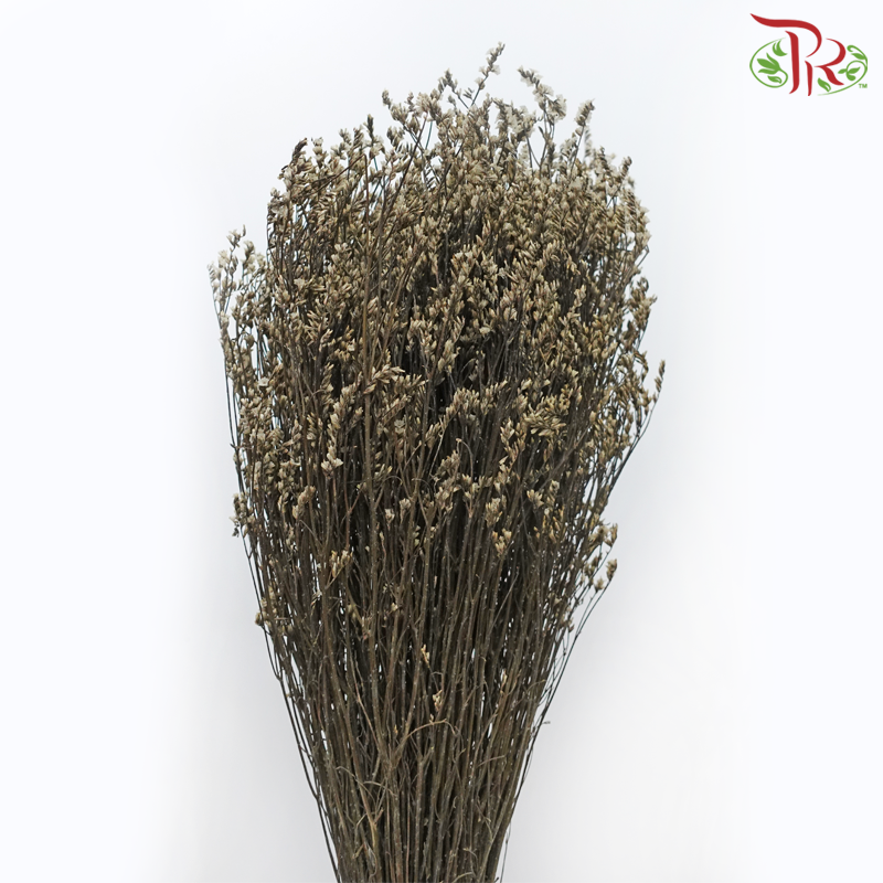 Dried Caspia