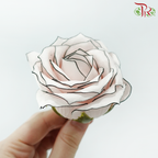 Premium Soap Flower