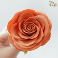 Soap Flower ShuXing