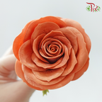 Soap Flower ShuXing