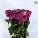 Ceres Rose Dyed Mondial